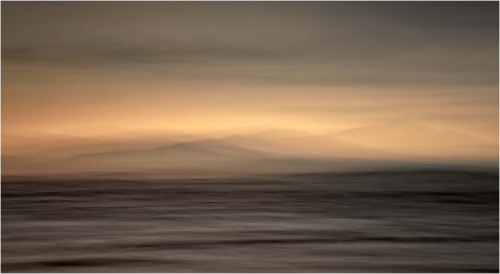 Golden-light by Tony Melling
