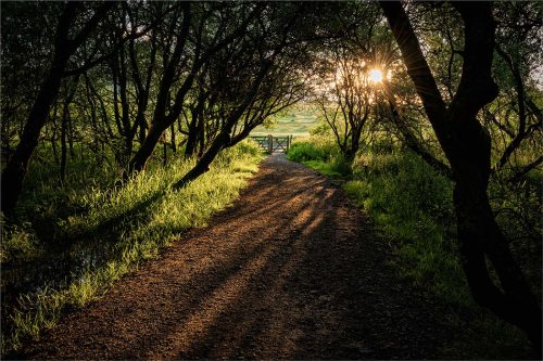 Fred Bell: Lighting-the-Way