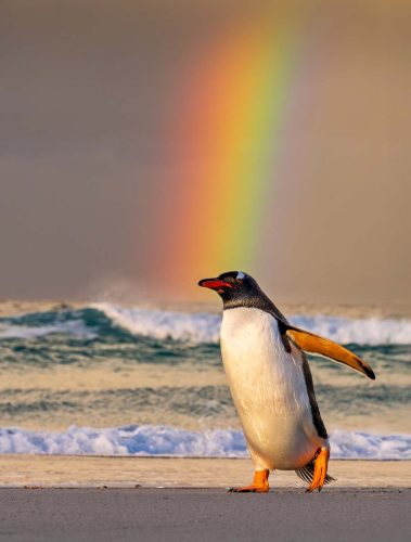 Simon Roberts: Pot of Gold