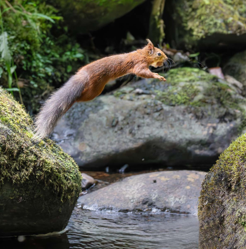 Im-walking-in-the-air by David Price