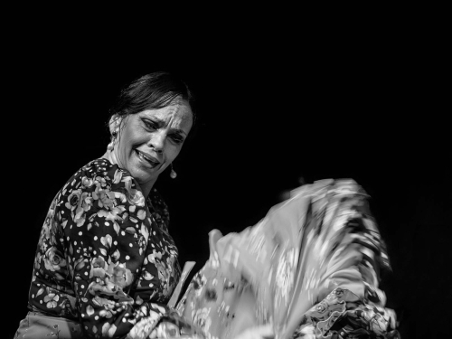 Flamenco by Richard Jakobson