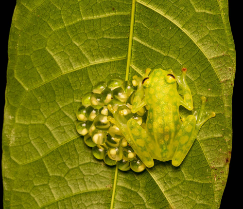 Mother-and-Babies by Simon Roberts
