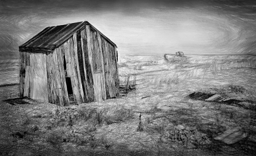 The-Foreshore by David Price