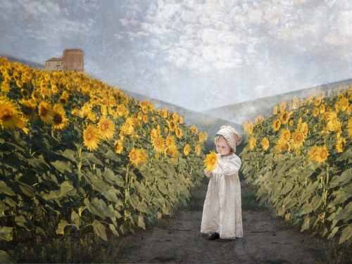 Enchantment by Julie Walker