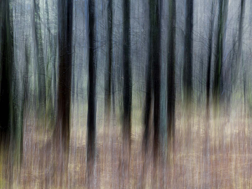 Ist Open Oct 2024 Prints