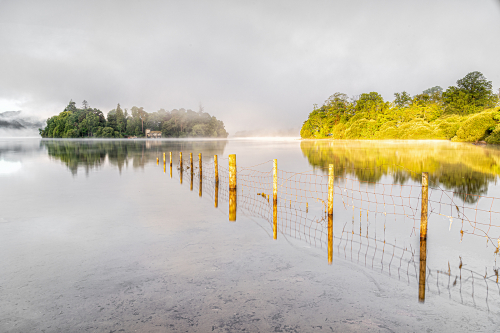 Fred Bell: Misty Dawn Derwent Water