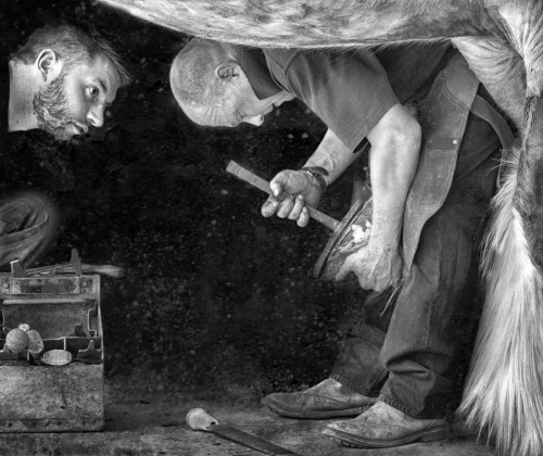 Sue Rugg: Apprentice Farrier