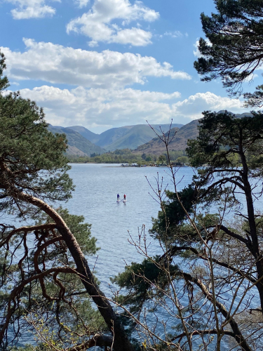 Stephen Harris: Paddleboarding