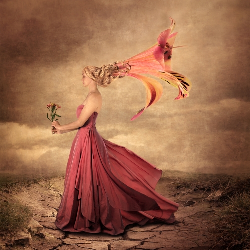 Flower-Girl by Jo Knight