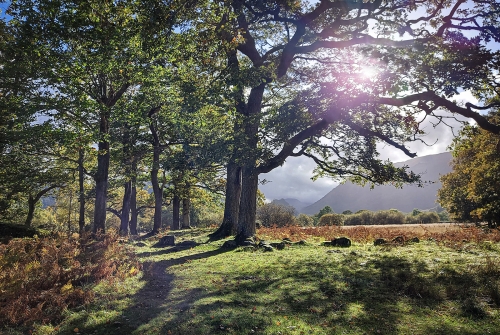 Shadows by Marilyn Woodthorpe
