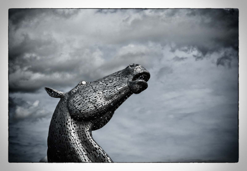 Kelpie by Richard Petty
