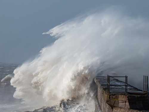A-Walk-on-the-Wild-Side-by-Richard-Jakobson