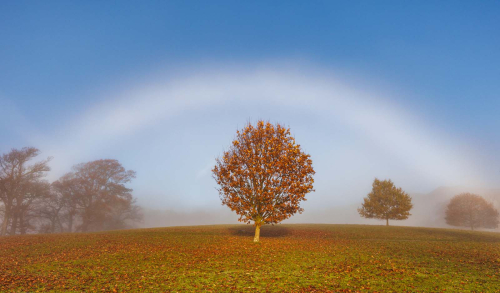 Autumn-fog-bow-by-Paul-Rathbone