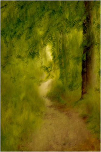 Down-in-the-Woods-by-Tony-Melling