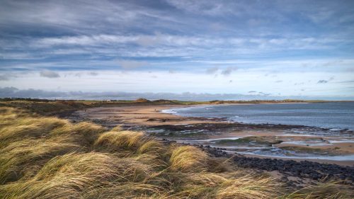 Tony Nicholls- Sun over Beadnell Bay