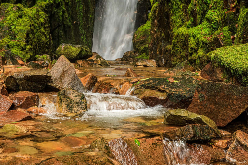 Cascades at Scale Force by David Leighton