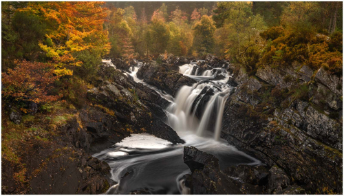 Fall-by-Ken-Rennie