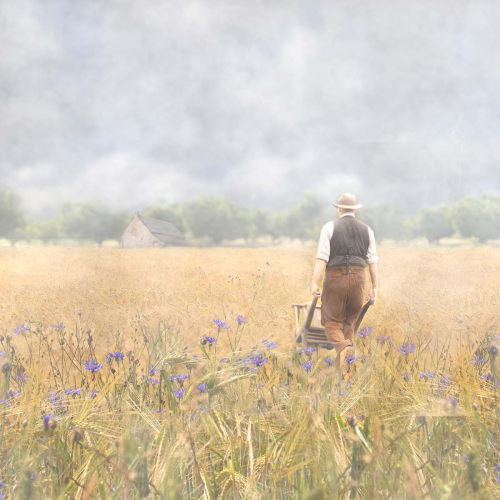 Going-Home-by-Julie-Walker