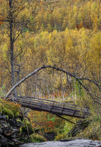 Richard Jakobson-A-Bridge-Too-Far