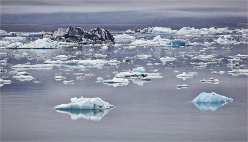 Iceberg Lagoon by Tricia Rayment