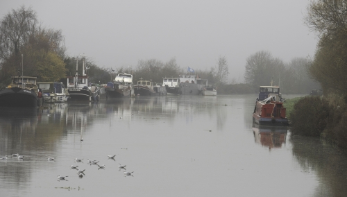 Birds-and-Boats, David Rayment