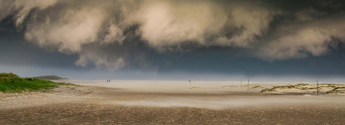 Walking-Together-into-the-Storm, Tony Sharp