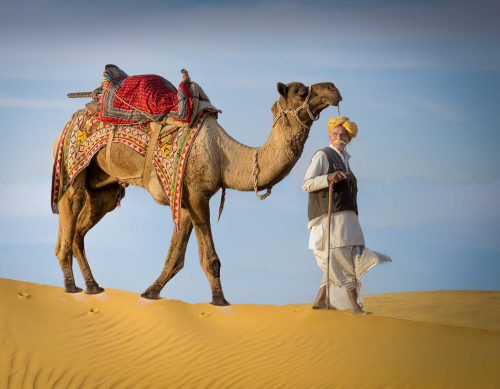 Leading-his-camel, David Price