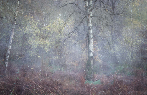 Mist-for-a-Minute, Tony Melling