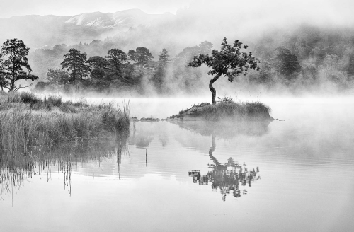Rydal-Water-Misty-Morning-by-Fred-Bell