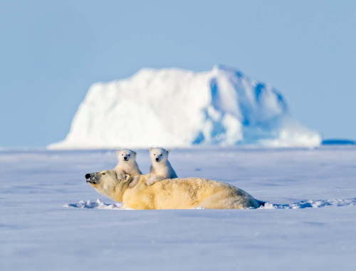 Warm-arctic-morning-by-Simon-Roberts