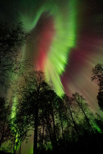 Richard Jakobson-Auroral-Skyburst