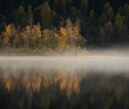 Richard Jakobson-Autumn-Mist