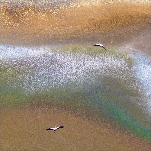 Keith Snell-Cranes-Over-The-Soda-Lake