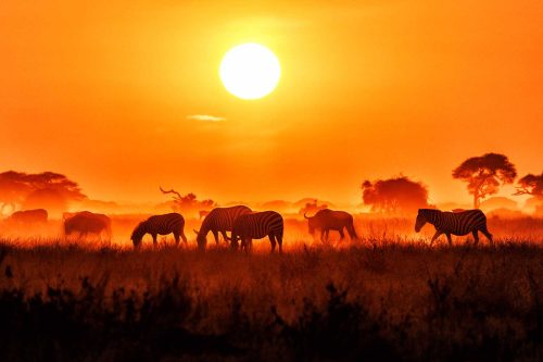 Keith Snell-Sunrise-On-African-Plains