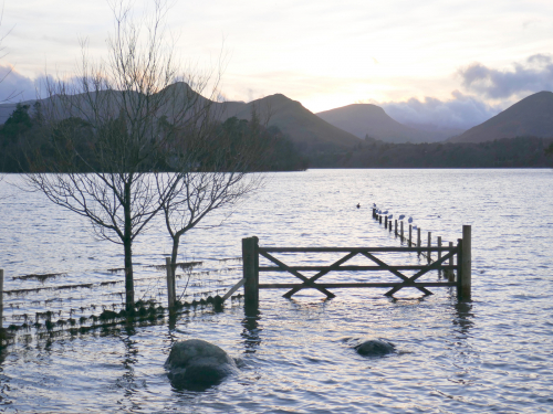  Keep the gate shut by Stephen Harris