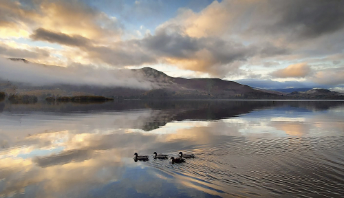 Evening Light on Derwentwater by Marilyn Woodthorpe