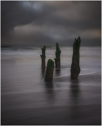 Standing against the tide by Tony Melling