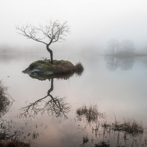 Early Light and Mist Rydal Water by David Stephenson