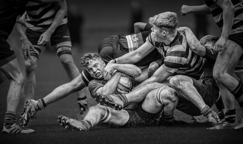 Pile up by Bob Given