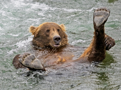 In-the-Jacuzzi by Simon Roberts