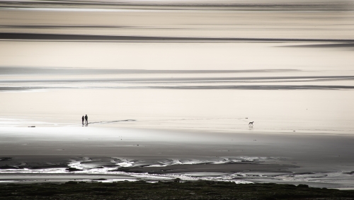 The-infinite-dog-walk by Chris Burgess
