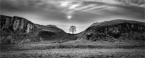 Sycamore-Gap by Fred Bell