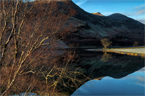 Fading-Tree-light-at-Buttermere by Fred Bell