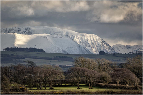 Spring-in-the-Lowlands by Tony Marsh