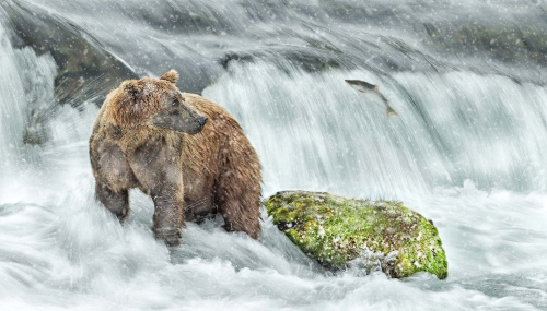 Focussed-on-fishing-in-the-snow by Alan Walker