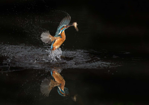 Reflection by Pete Whieldon