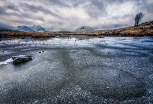 Frosty-Rannoch by Tony Melling
