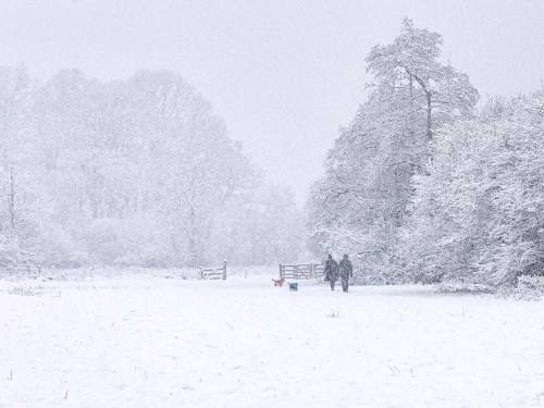 A-Walk-in-the-Snowstorm by Julie Walker