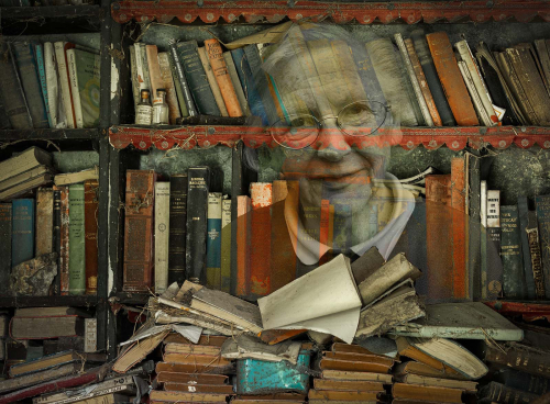 The-Old-Librarian by David Woodthorpe