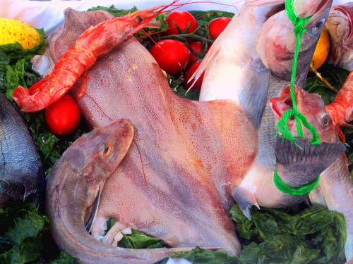 Fruits-de-mer by Philip Cartwright
